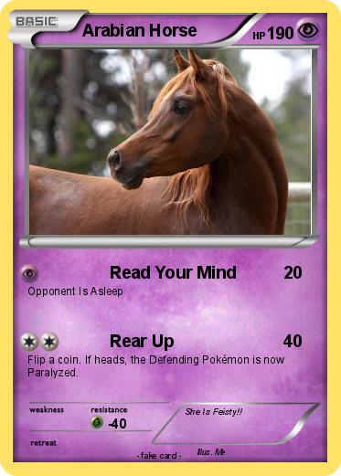 Pokemon Arabian Horse
