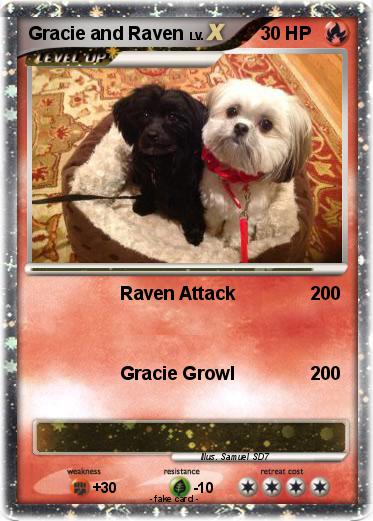 Pokemon Gracie and Raven