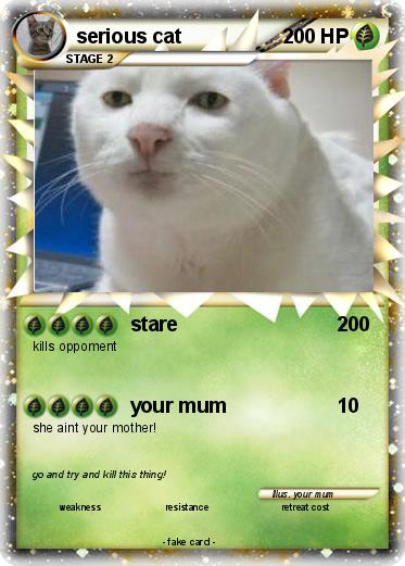 Pokemon serious cat