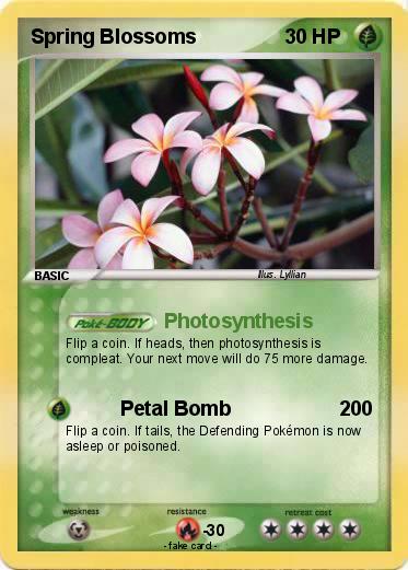 Pokemon Spring Blossoms