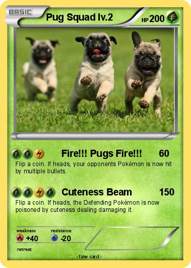 Pokemon Pug Squad lv.2