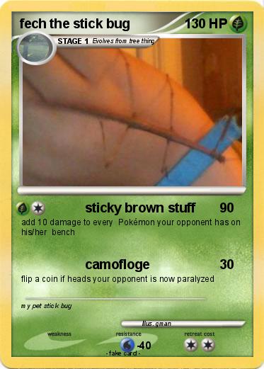 Pokemon fech the stick bug