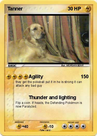 Pokemon Tanner