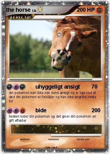 Pokemon the horse