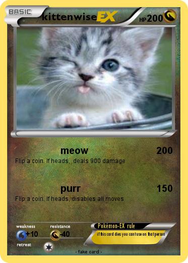 Pokemon kittenwise