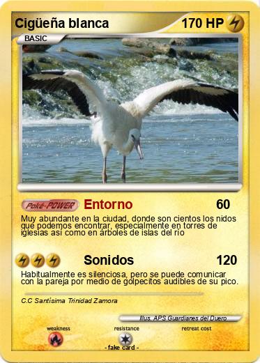 Pokemon Cigüeña blanca
