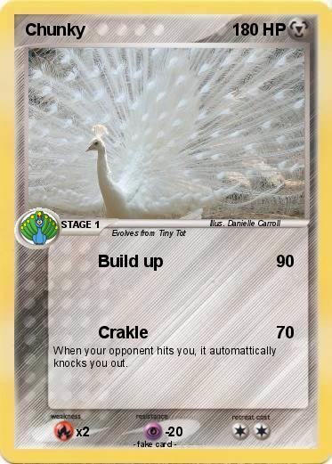 Pokemon Chunky