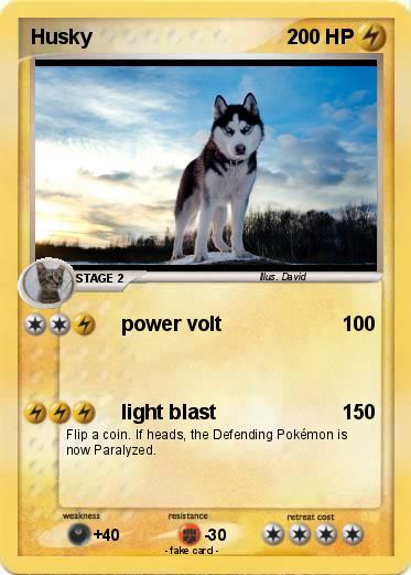 Pokemon Husky