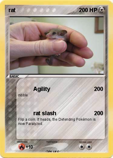 Pokemon rat