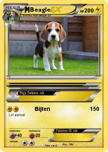 Pokemon Beagle