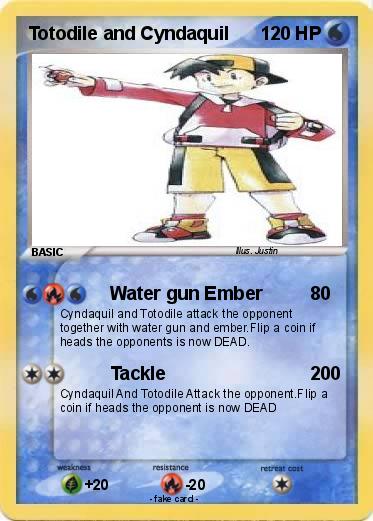 Pokemon Totodile and Cyndaquil