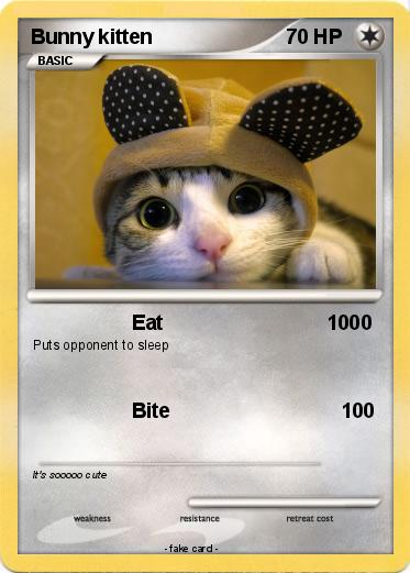 Pokemon Bunny kitten