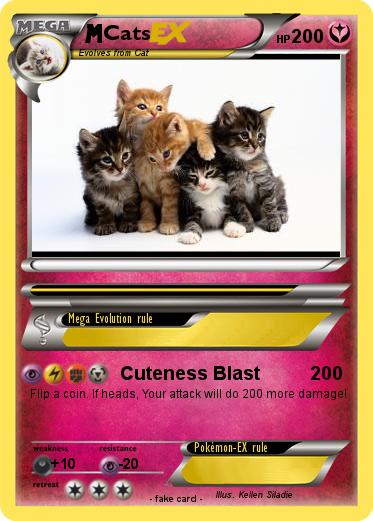 Pokemon Cats