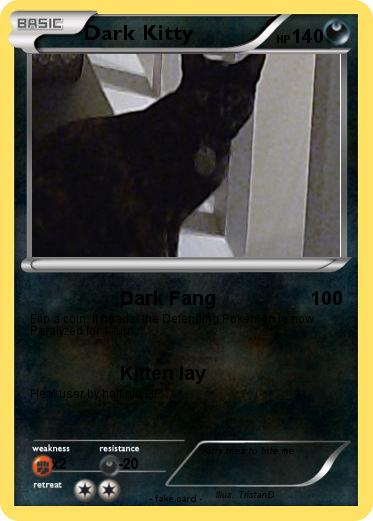 Pokemon Dark Kitty