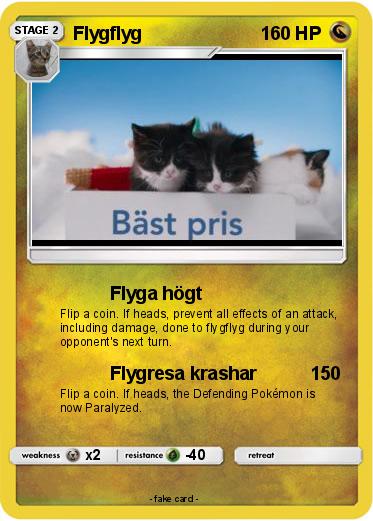 Pokemon Flygflyg