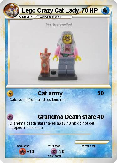 Pokemon Lego Crazy Cat Lady