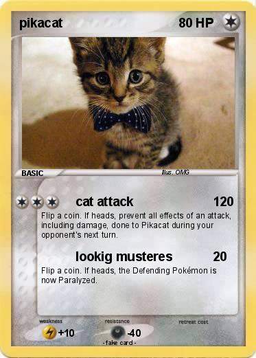 Pokemon pikacat