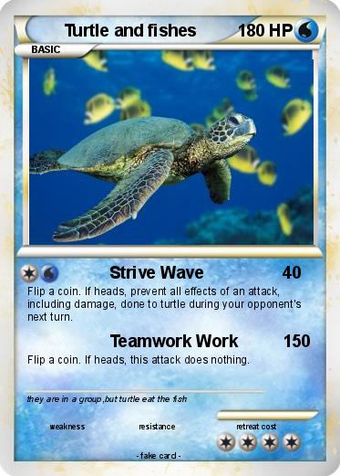 Pokemon Turtle and fishes