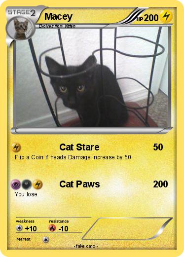 Pokemon Macey
