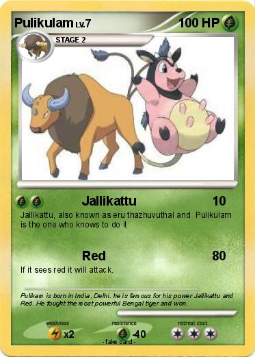 Pokemon Pulikulam