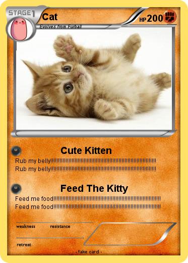 Pokemon Cat