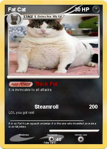 Pokemon Fat Cat