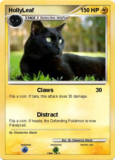 Pokemon HollyLeaf