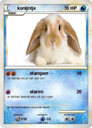Pokemon konijntje