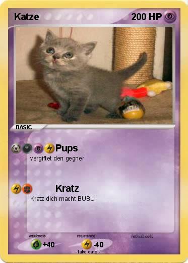 Pokemon Katze