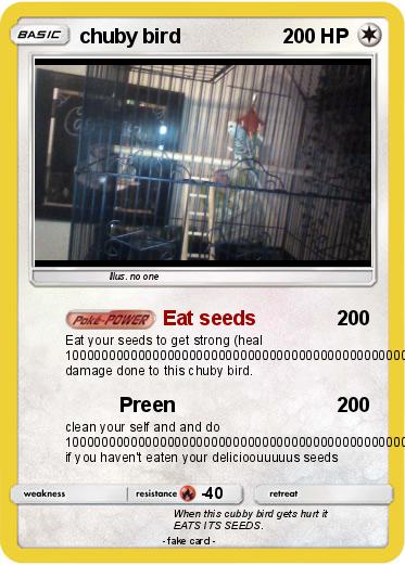 Pokemon chuby bird