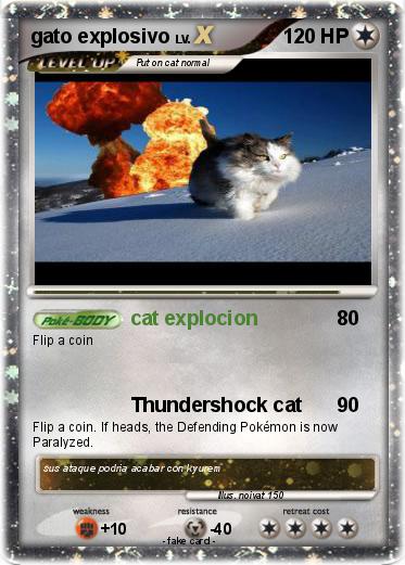 Pokemon gato explosivo