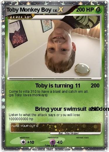 Pokemon Toby Monkey Boy