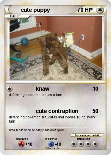 Pokemon cute puppy