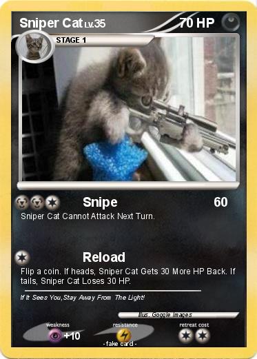 Pokemon Sniper Cat