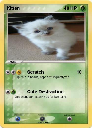 Pokemon Kitten