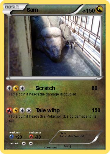 Pokemon Sam