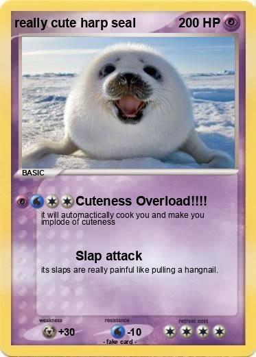 Pokemon really cute harp seal