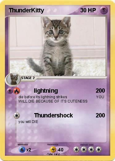 Pokemon ThunderKitty