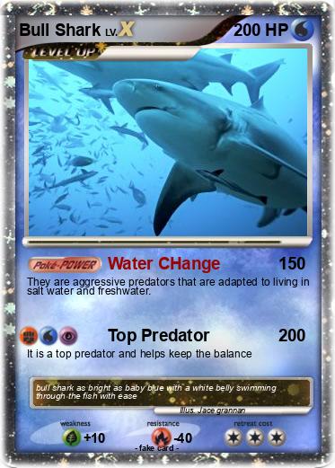 Pokemon Bull Shark