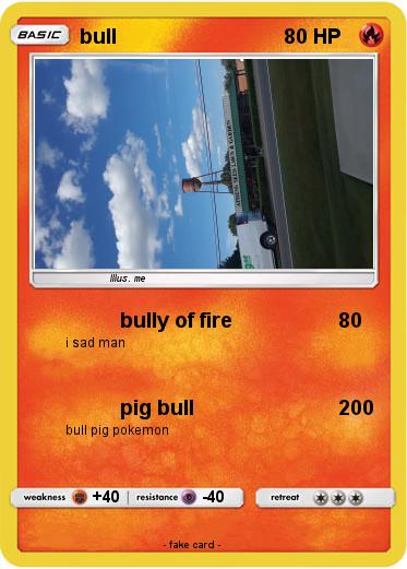 Pokemon bull