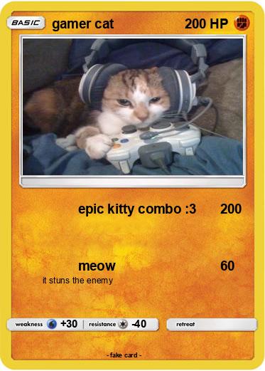 Pokemon gamer cat