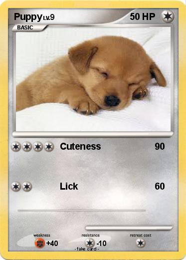 Pokemon Puppy