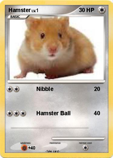 Pokemon Hamster
