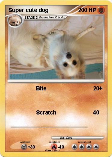 Pokemon Super cute dog