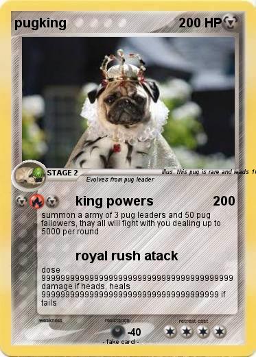 Pokemon pugking