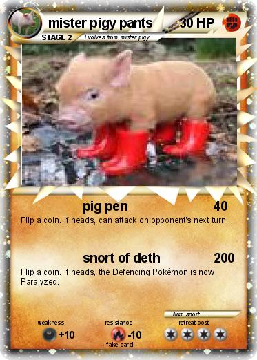 Pokemon mister pigy pants