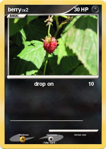 Pokemon berry