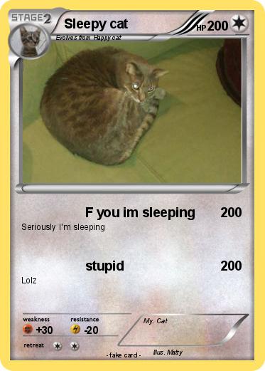 Pokemon Sleepy cat
