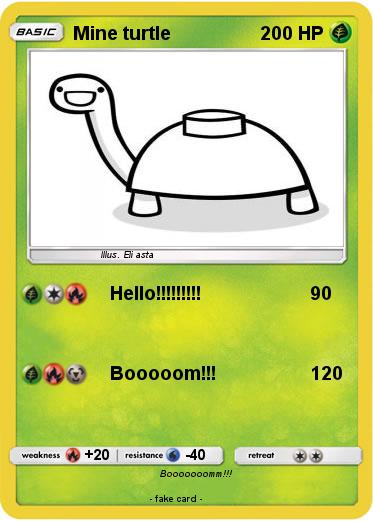 Pokemon Mine turtle