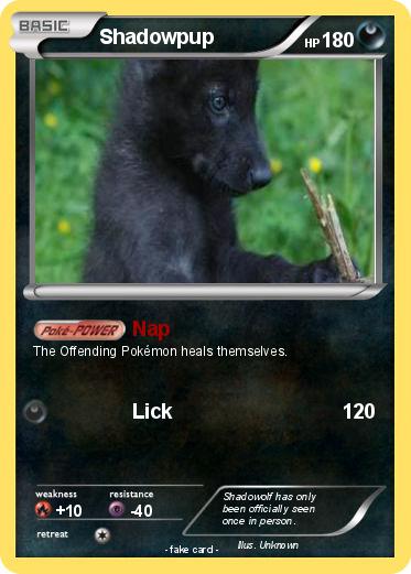 Pokemon Shadowpup